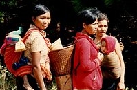 Le régime matriarcal des Ede